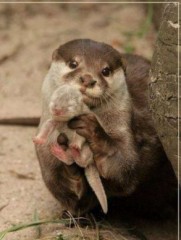 【お題日記】お風呂は一緒に入りたい？