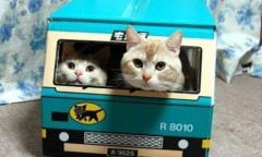 【お題日記】試してみたいHな悪戯