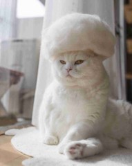 【お題日記】朝シャワー浴びる？