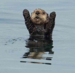 【お題日記】つい立ち寄っちゃうところは？