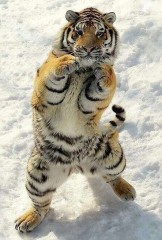 【お題日記】今月2回ある3連休の予定は？