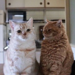 【お題日記】Hの時されて気持ちよかったこと