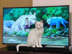 【お題日記】暇な時間の潰し方