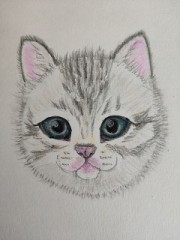 【お題日記】最近何してる時が楽しい？