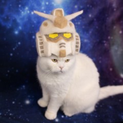 【お題日記】深海と宇宙、行くならどっち？