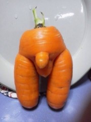 【お題日記】お相手のアソコに対する本音