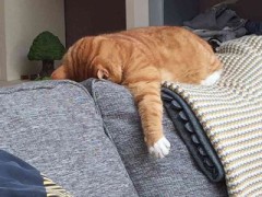 【お題日記】効果のある前戯