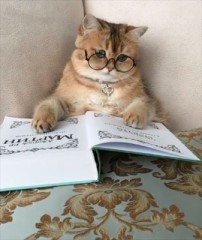 【お題日記】1年以上毎日記録してる事は？