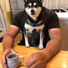 【お題日記】好みの体系