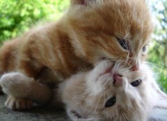 【お題日記】ホテルに行ったら同性だったことある？