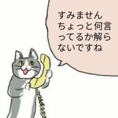 【お題日記】地震の備えしてる？