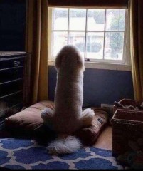 【お題日記】避妊具は自分主導？相手主導？