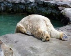 【お題日記】セフレと別れる時の理由