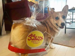 【お題日記】ここをもっと開発されたい