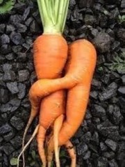 【お題日記】昼間のHってどう？