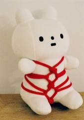 【お題日記】ハメ撮りのルール