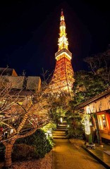 【お題日記】記念日に行ってみたいところ