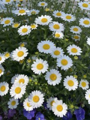 【お題日記】ラブホで心霊体験ある？