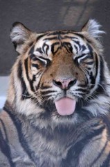 【お題日記】こんなエロい写真撮りました