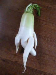 【お題日記】今年水着着た？