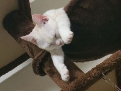 【お題日記】一番のリラックス法