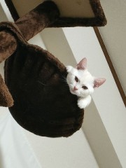 【お題日記】禁断の場所でした経験