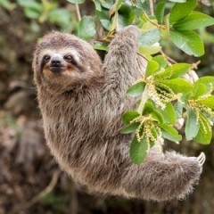 【お題日記】成長を感じる瞬間は？