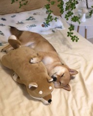 【お題日記】好きな相手の匂いってどんなの？