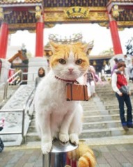 【お題日記】カレンダー設定は日・月どちらスタート？