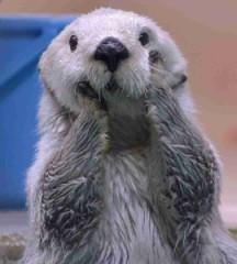 【お題日記】ハッキリ言ってHと1人Hどっちがスキ？