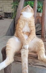 【お題日記】ヤリたい盛りっていつ頃だった？