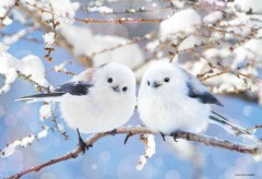 【お題日記】相手にリードされたい？それとも自分がリードする？