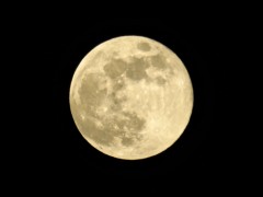 満月