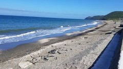 週の真ん中水曜日