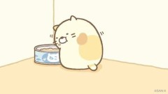 【お題日記】あなたにとって何が癒し？