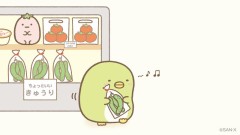 【お題日記】収集癖があるもの