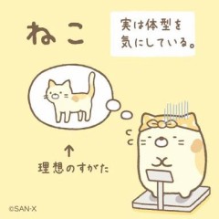 【お題日記】あなたの運動不足解消法