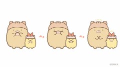 【お題日記】変わらない性癖、変わった性癖