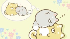 【お題日記】早い・遅い、ぶっちゃけると…