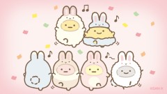 今日は