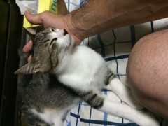 【お題日記】愛されてると感じる瞬間