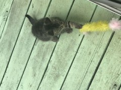 【お題日記】「暑い」を他の言葉で言うと・・