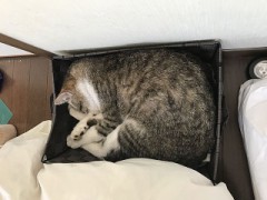 【お題日記】福祉制度について