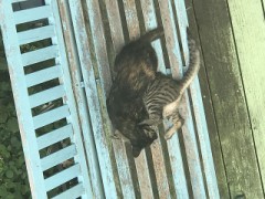 【お題日記】一人Hが誰かにばれたことある？