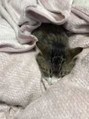 【お題日記】あなたの1番好きな体位