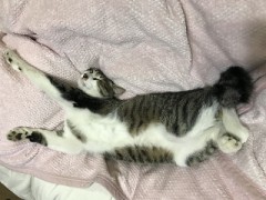 【お題日記】あなたの1番くつろげる時間