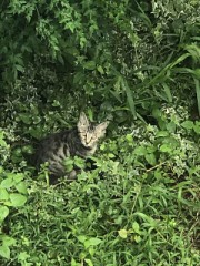 【お題日記】どんな体勢が寝やすい？