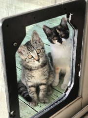 【お題日記】影響を受けた映画