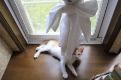 【お題日記】エッチはどう誘うのがスマート？