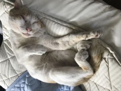 【お題日記】異性のココにまず目がいきます